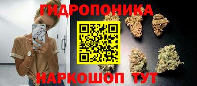ПСИЛОЦИБИНОВЫЕ ГРИБЫ Жуковский