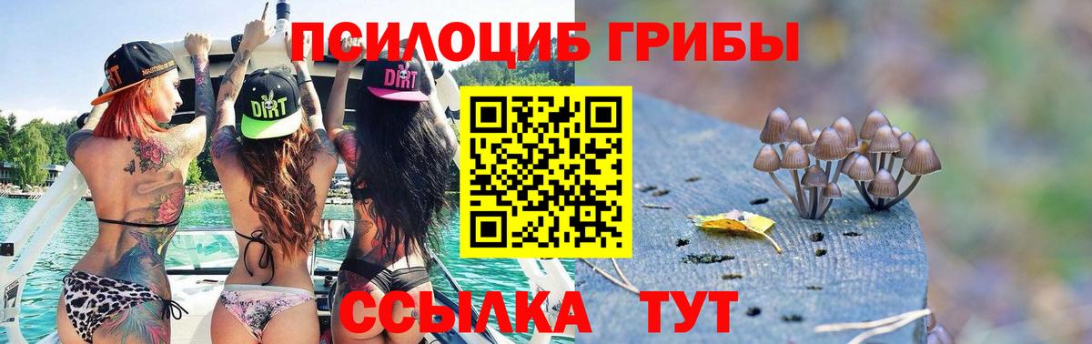 купить  цена  Вход с VPN  Кстово  Псилоцибиновые грибы мицелий 